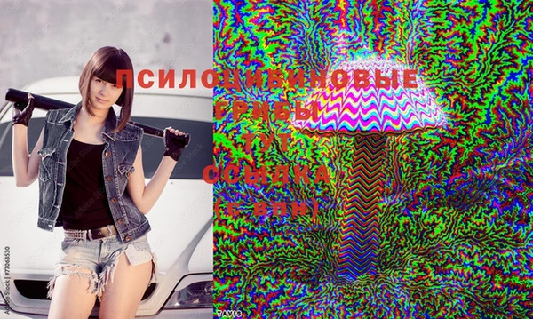 spice Абинск