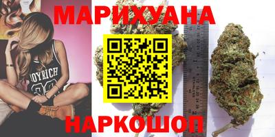 индика Гусь-Хрустальный