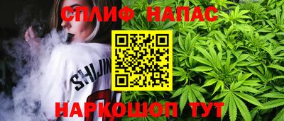 индика Гусь-Хрустальный