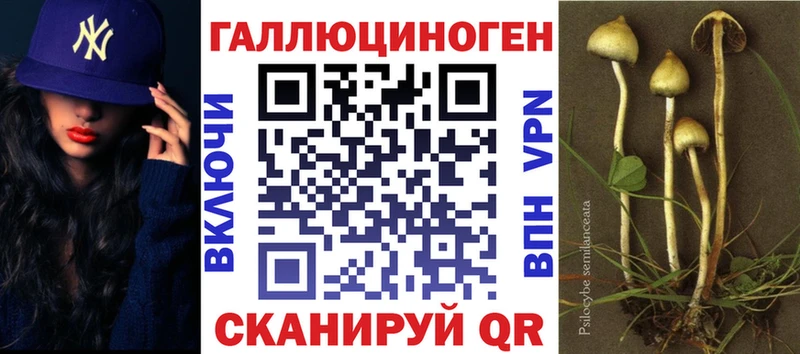 Псилоцибиновые грибы мухоморы Камышлов
