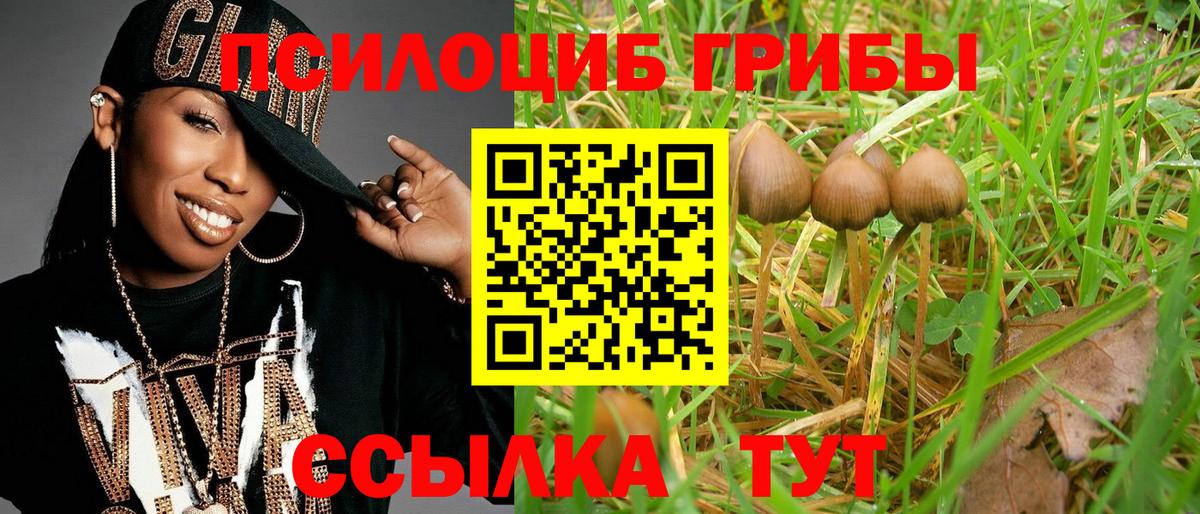 Псилоцибиновые грибы MAGIC MUSHROOMS Камышлов