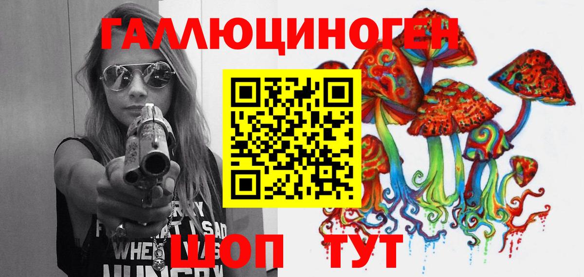 Камышлов  наркошоп  Вход с VPN  Галлюциногенные грибы MAGIC MUSHROOMS 